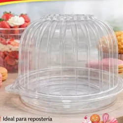 Mini domo transparente (10x15cm)