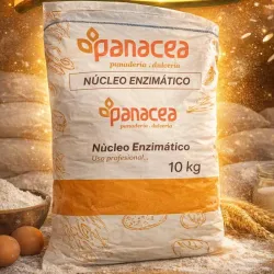 Núcleo Enzimático