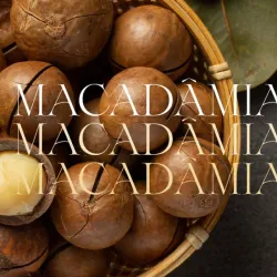Sabor Macadamia (1lt)
