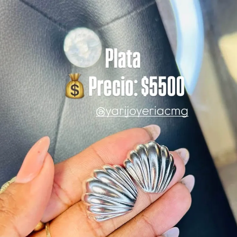 Conchas plata