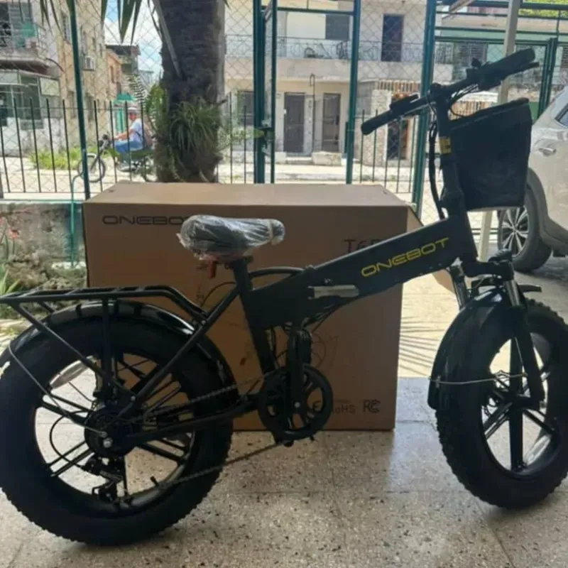Bicicleta electrica (R)