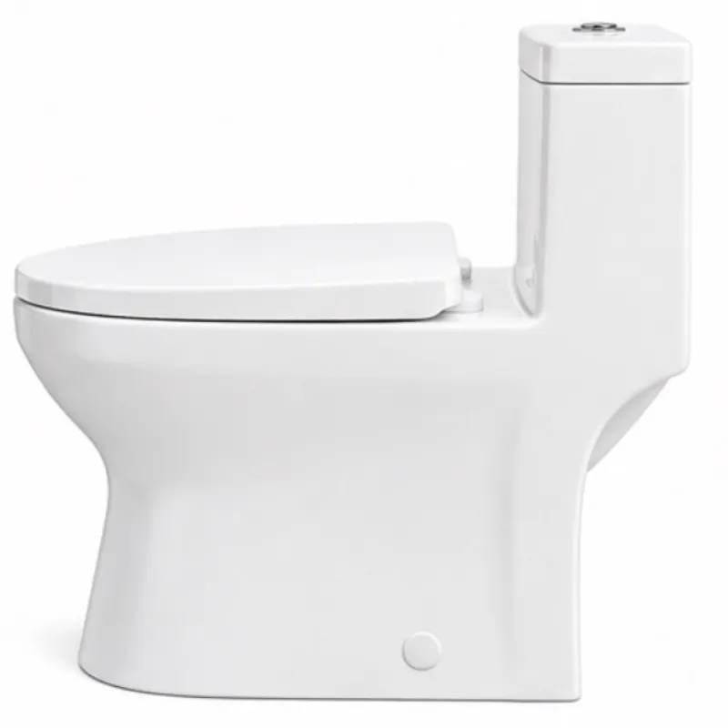 Inodoro de una pieza moderno blanco, descarga superior.