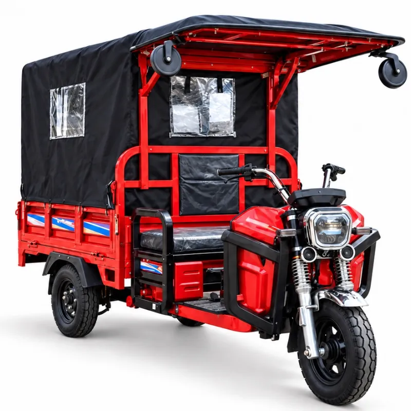 Triciclo eléctrico TOPMAQ Bryderk 2000 W con techo y asientos plegables