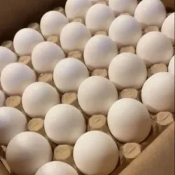 Huevos