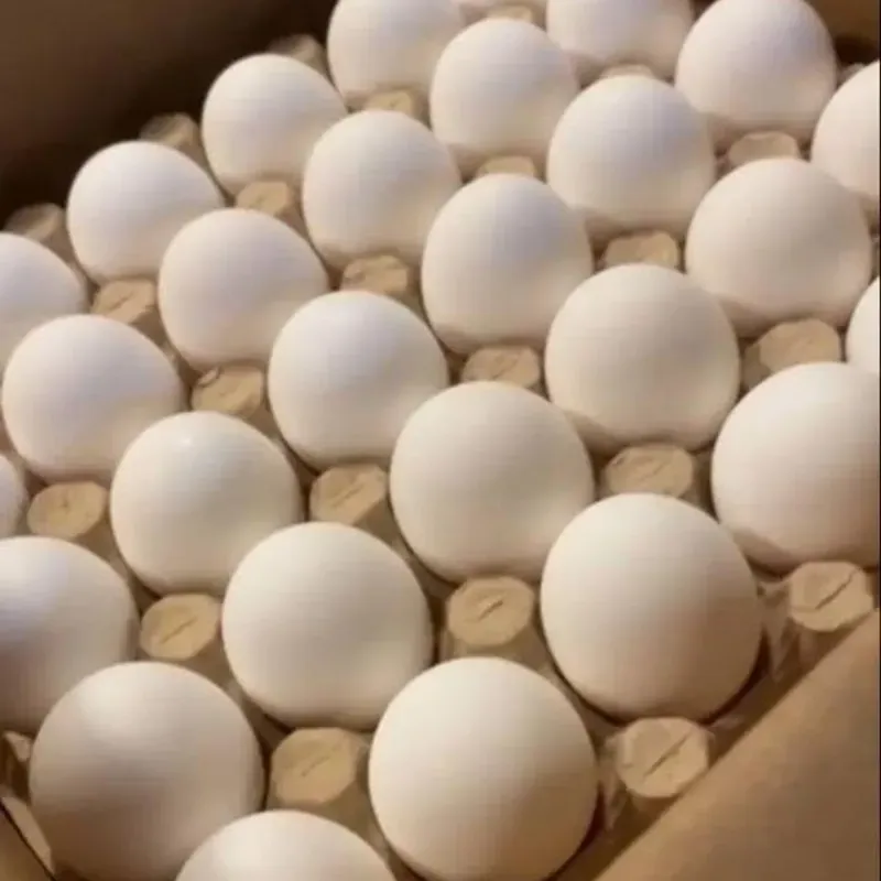 Huevos
