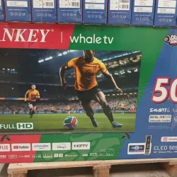 Smar Tv sankey 50"