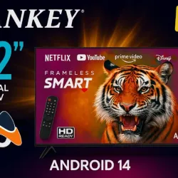 Tv Sankey 32pulg