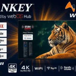 Tv Sankey de 50pulg