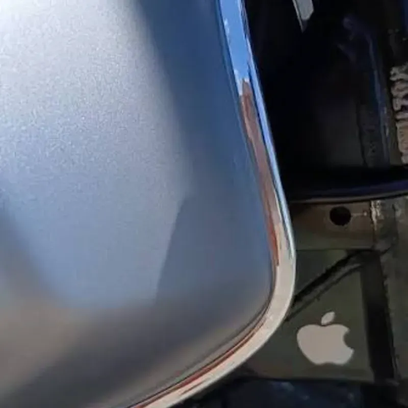 Silvatrin negro y plateado 