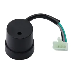 Flash electrónico 12V, 3 pines con zumbador