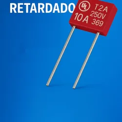 Fusible 10 Amp 250 Volt