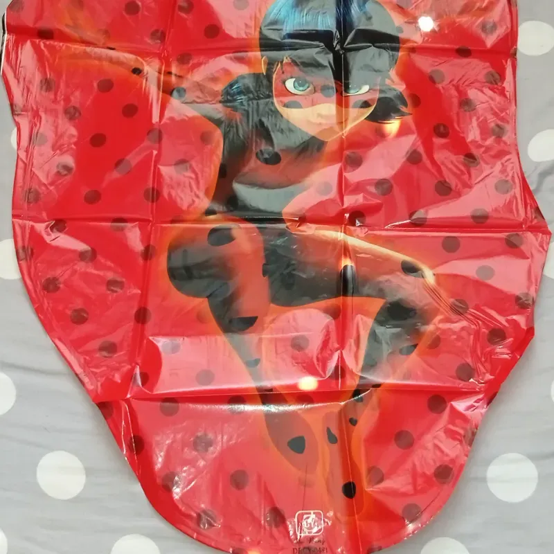 Ladybug 