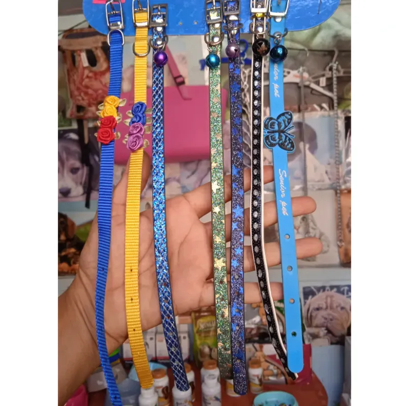 Collares chiquitos para perros