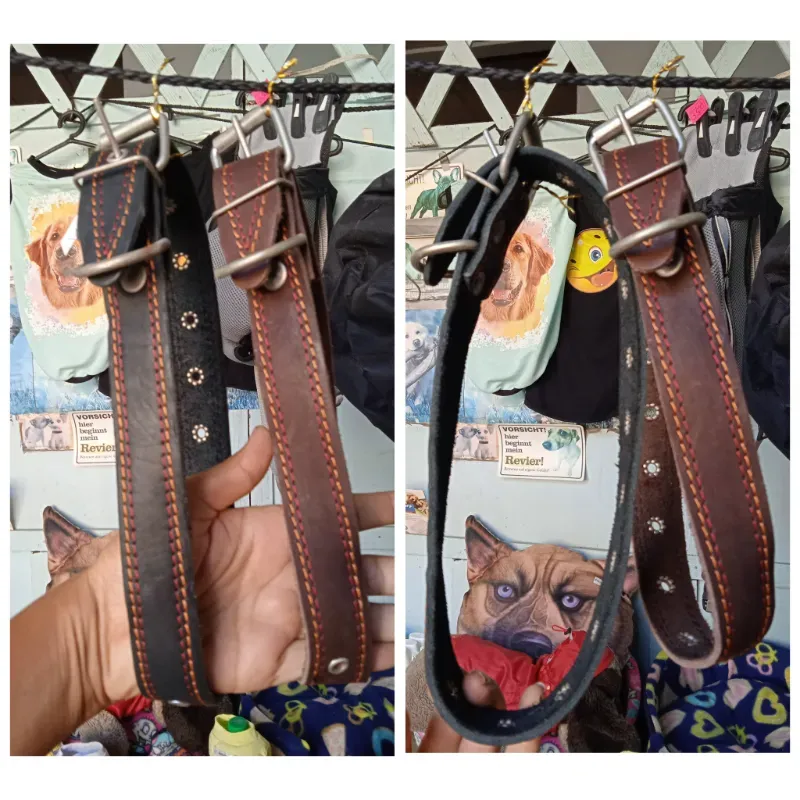 Collares de cuero para perros grandes