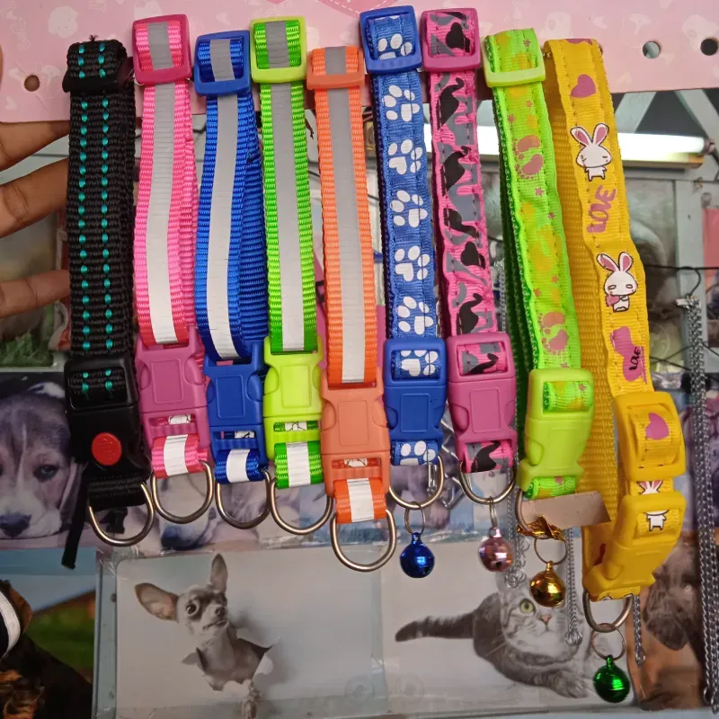 Collares medianos para perros