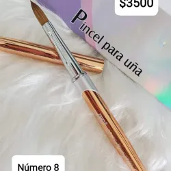 Pincel JR profesional número 8 y 10 
