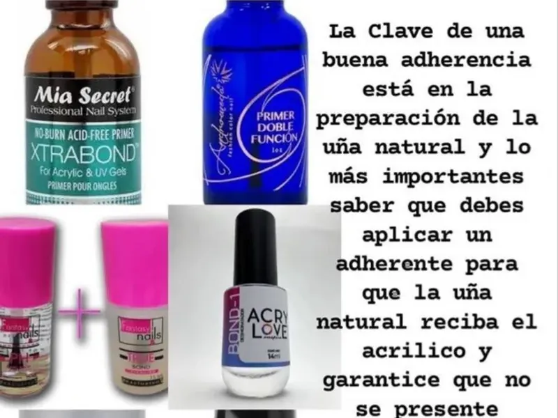 Preparadores