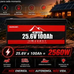 Batería LiFePO4 de 25.6V x 100Ah (2560 Wh)