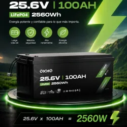 Batería OKMO de 25.6V 100 Ah (2560 Wh)