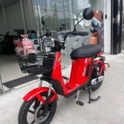 BICIMOTOS MARCA TORVAN  *8500w - 48v - 30Ah