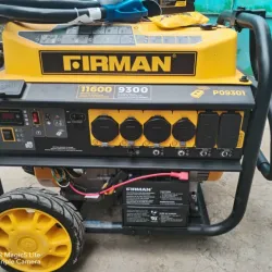 Planta eléctrica Firman 11600 W