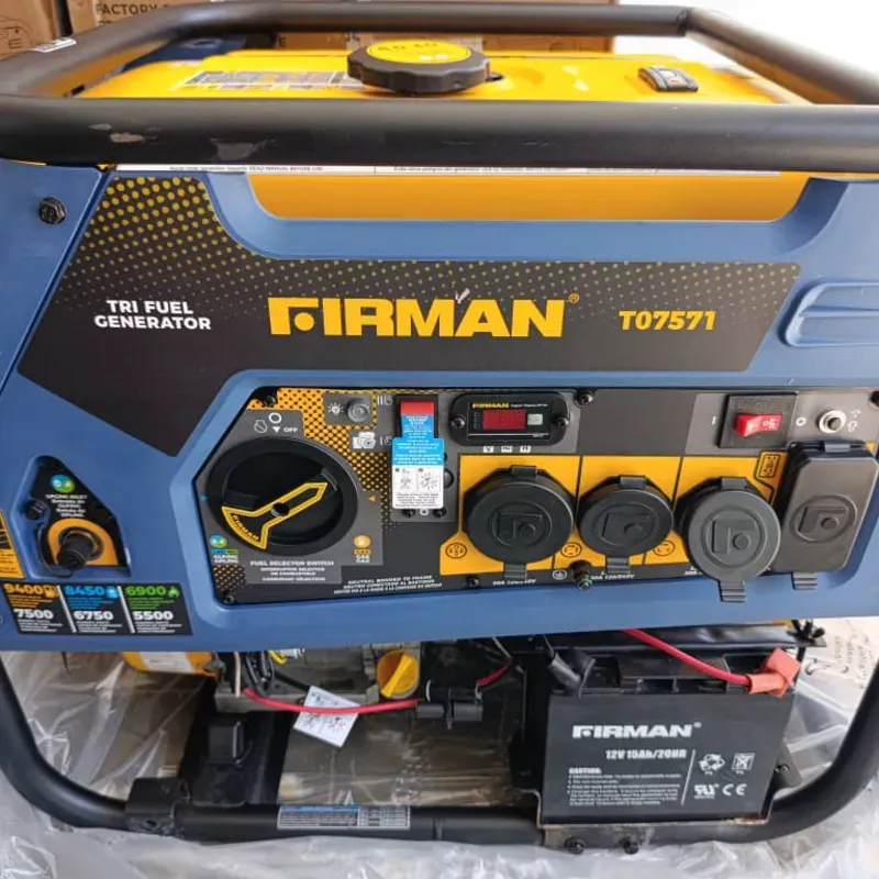 Planta Eléctrica Firman 9400W 