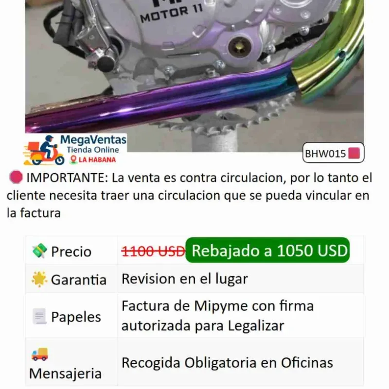 Unidad 300cc Motor11