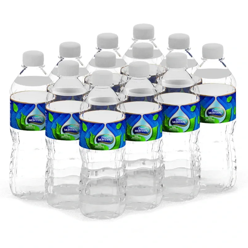 Agua Mineral 500 ml "Ciego Montero" 