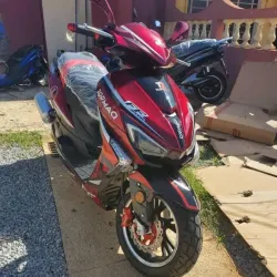 BUCATTI FF