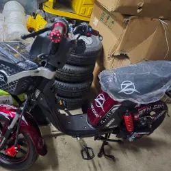 Mishozuki Grillo 13 Gen