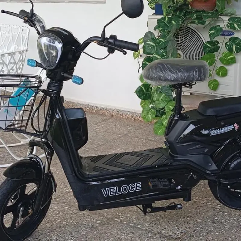 VELOCE 