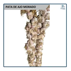 Pata de Ajo Morado