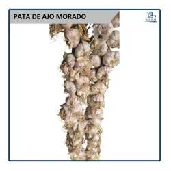 Pata de Ajo Morado