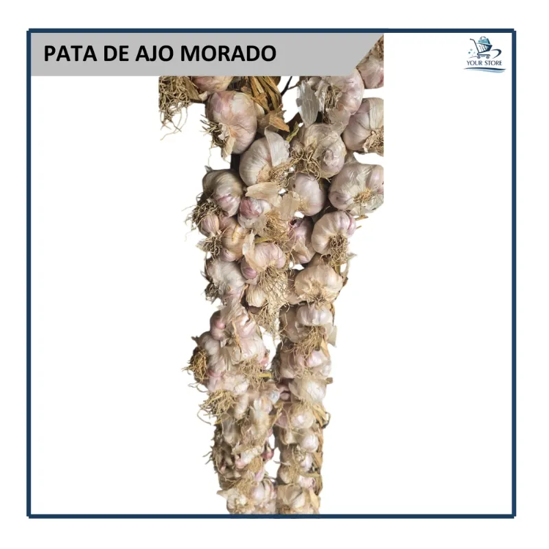 Pata de Ajo Morado
