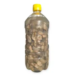 Pomo de Ostión (1L)