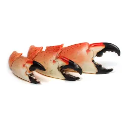 Muela de Cangrejo Moro (3L)