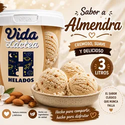 * Tina de Helado Vida Lactea  – 3 Litros