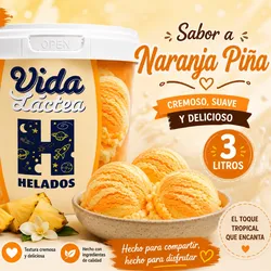 * Tina de Helado Vida Lactea  – 3 Litros