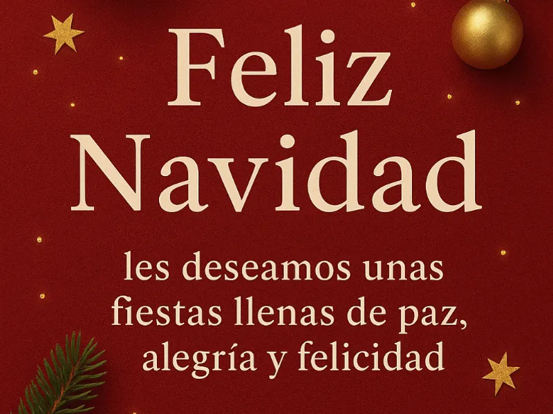 Ofertas Navideñas 