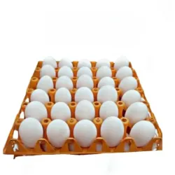 Carton de huevos 