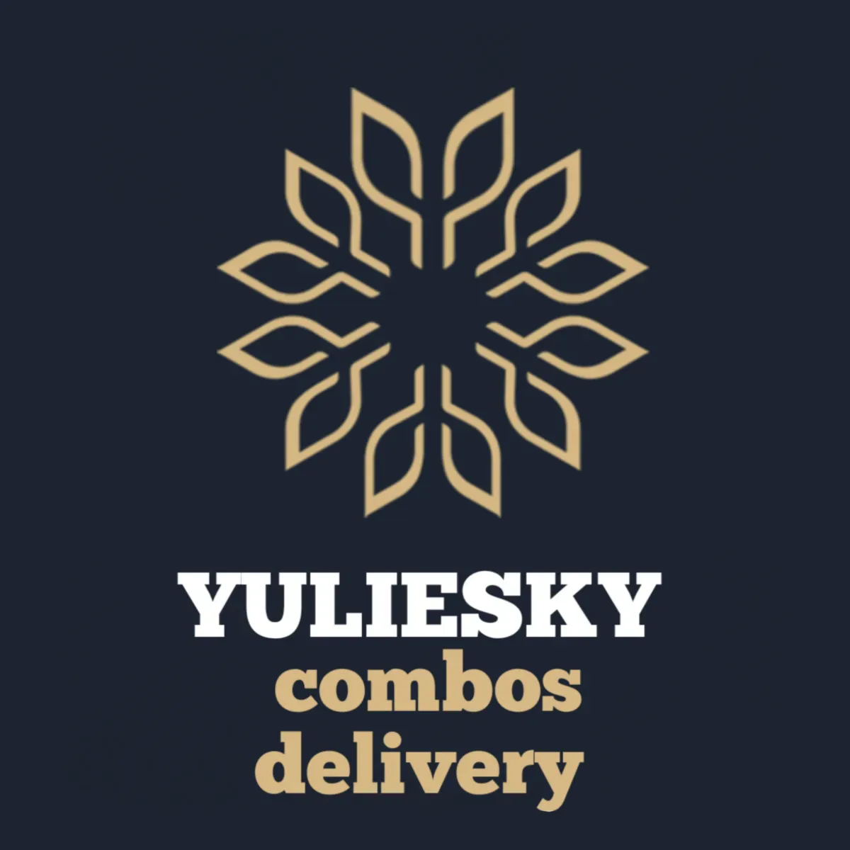 YULIESKY COMBOS DELIVERY
