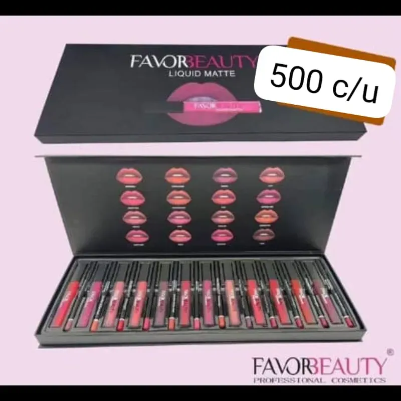 Labial Matte con su lápiz 