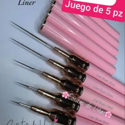 Set de 5 pinceles liner 