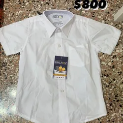 Camisa de escuela