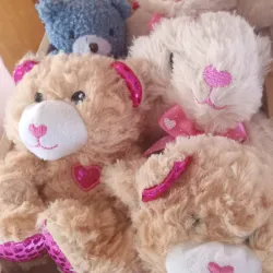 Ositos de peluches